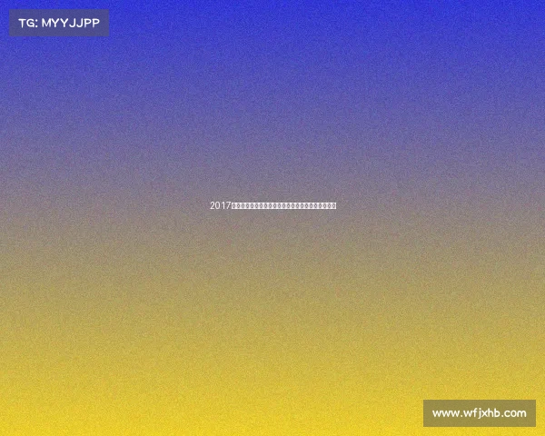 2017河南武术锦标赛盛大举行高手云集展现中华武艺风采