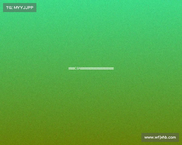 山东男篮CBA新赛季征程开启全员拼搏冲击季后赛展现齐鲁雄风